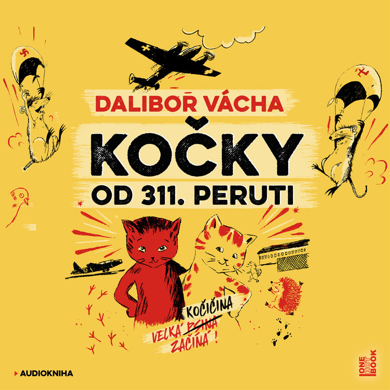 Kočky od 311. peruti