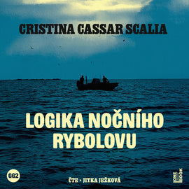 Logika nočního rybolovu