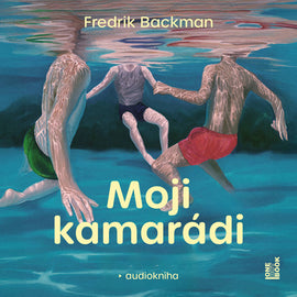 Moji kamarádi