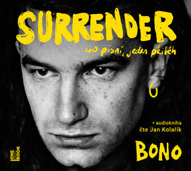 Surrender: 40 písní, jeden příběh