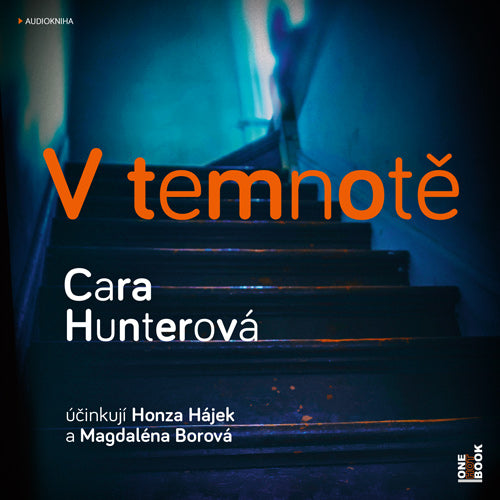 V temnotě