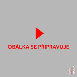 Přítelkyně paní Maigretové